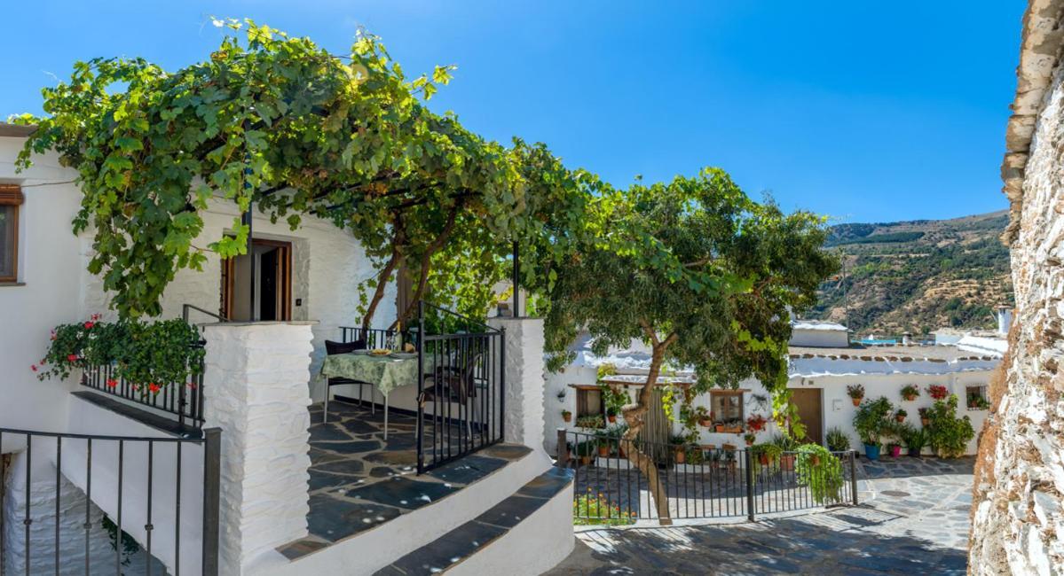 شقة Casa Antonia Capileira La Alpujarra المظهر الخارجي الصورة