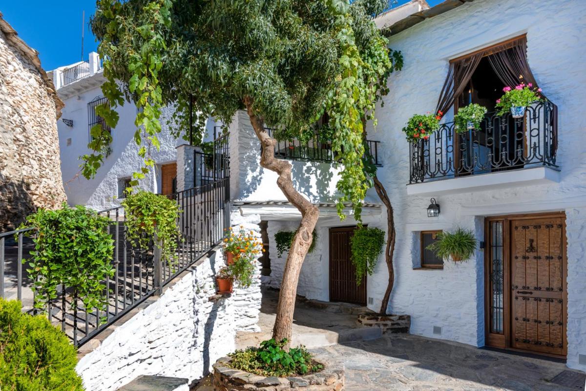 شقة Casa Antonia Capileira La Alpujarra المظهر الخارجي الصورة